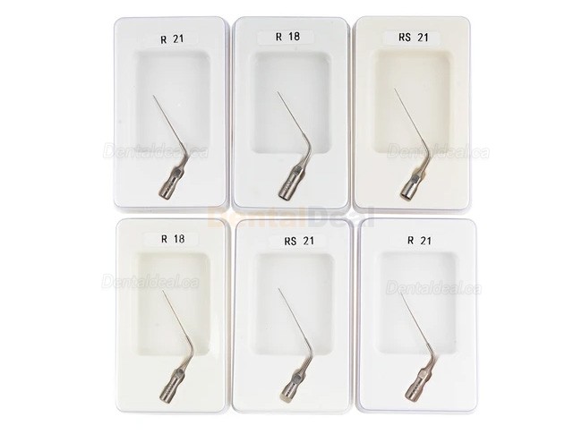RebornEndo Ultra R6 Dental Cordless Ultrasonic Endo Activator Endodontic Activator